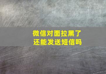 微信对面拉黑了 还能发送短信吗